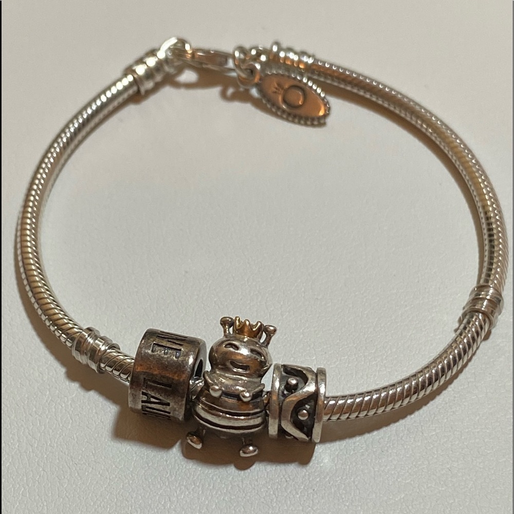 Pandora Bracelet with charms